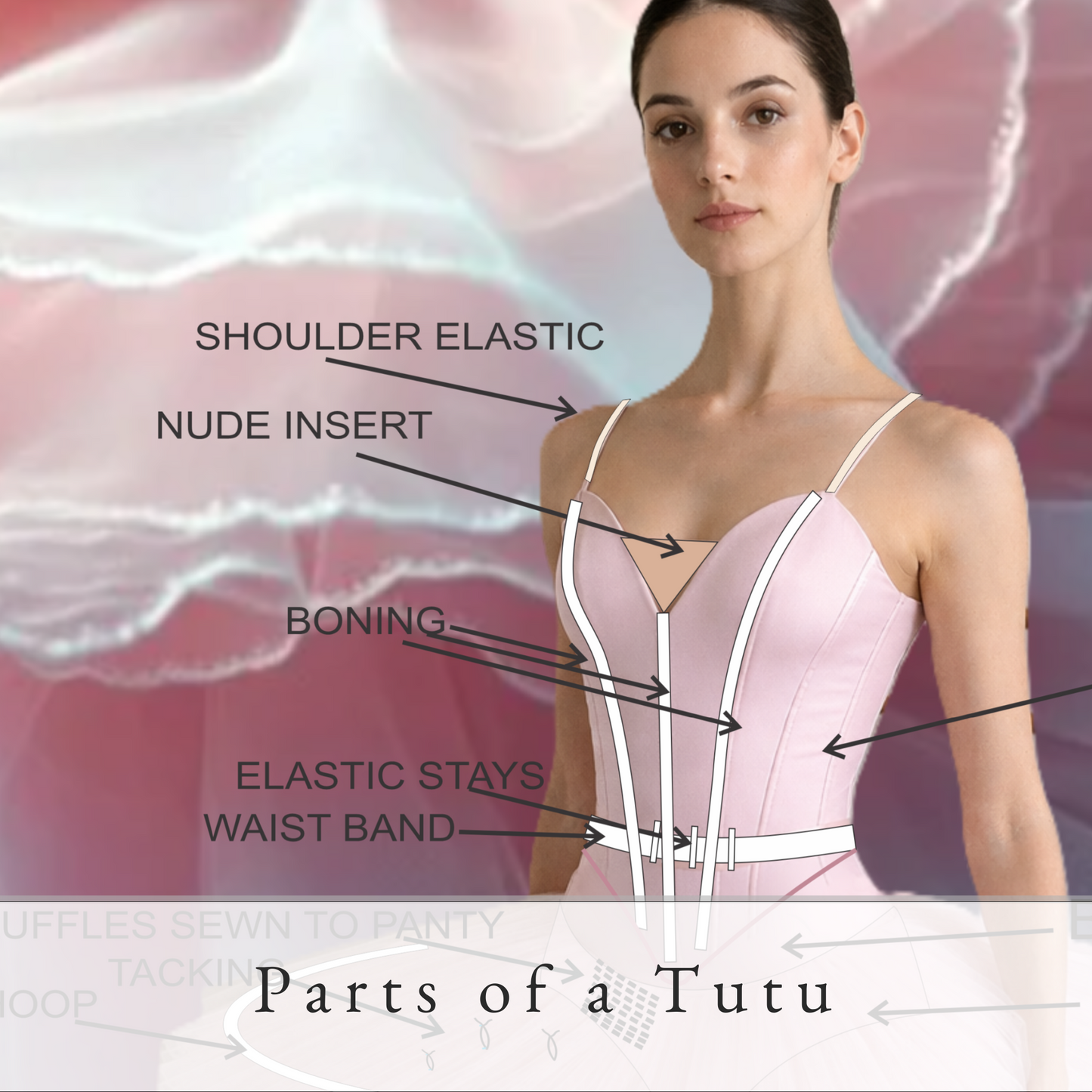 Parts of a Tutu