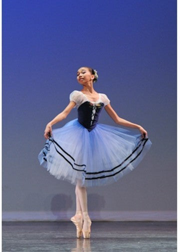 Romantic Tutu Skirt by Tutus That Dance